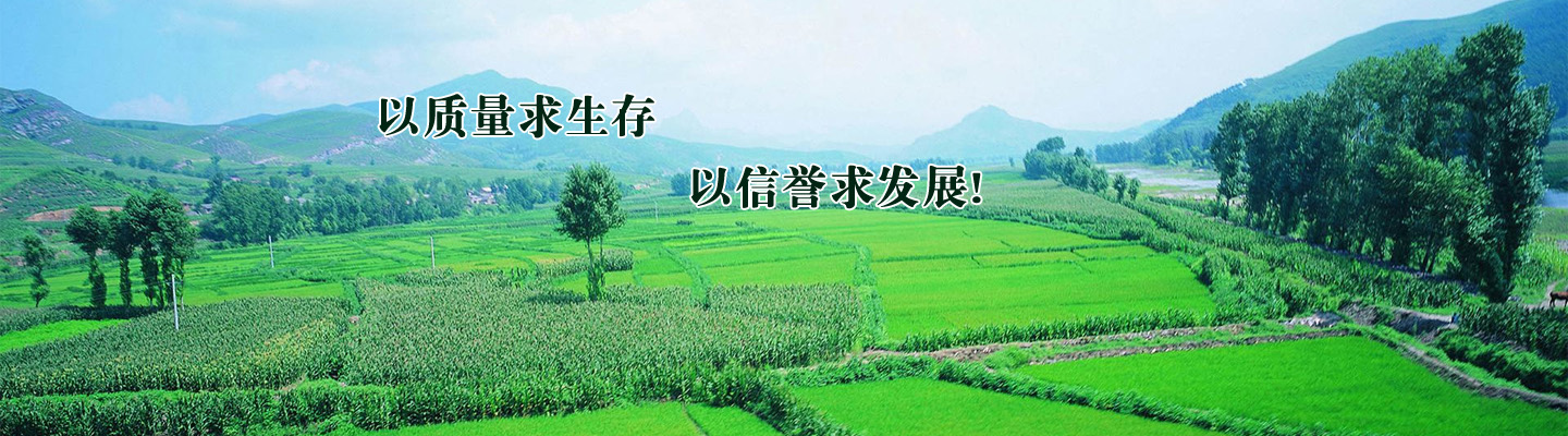 這是描述信息